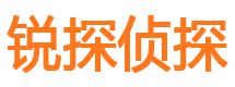 湘桥市私家侦探